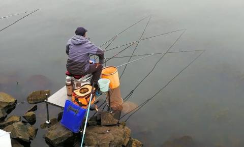 最新釣魚(yú)技術(shù)