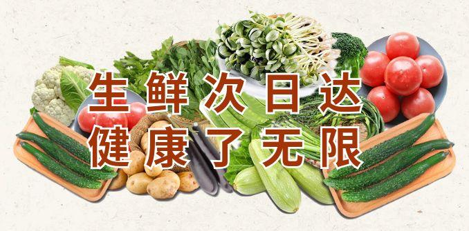 土豆最新動態(tài)，引領(lǐng)農(nóng)業(yè)科技創(chuàng)新，塑造未來食品產(chǎn)業(yè)新篇章